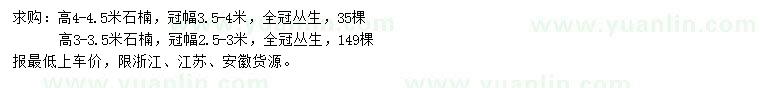 求購高3-3.5、4-4.5米石楠