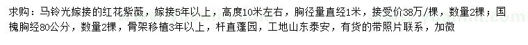 求購(gòu)胸徑1米嫁接紅花紫薇、80公分國(guó)槐