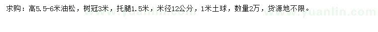 求購高5.5-6米油松