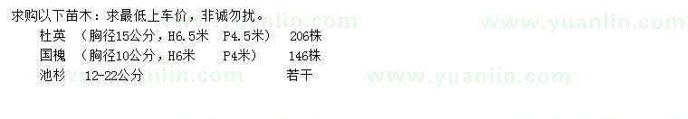求購(gòu)杜英、國(guó)槐、池杉