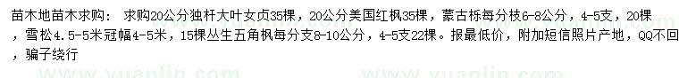 求購大葉女貞、美國紅楓、蒙古櫟等