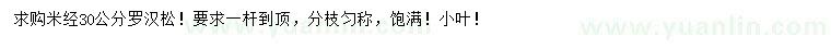 求購米徑30公分羅漢松