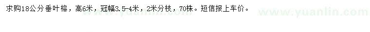 求購18公分垂葉榕