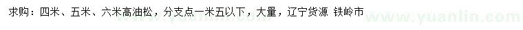 求購(gòu)高4、5、6米油松