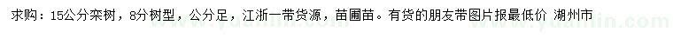 求購(gòu)15公分欒樹(shù)