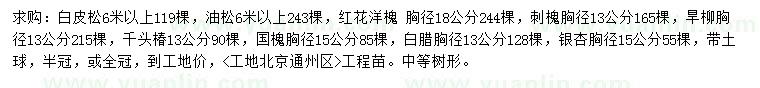 求購白皮松、油松、紅花洋槐等