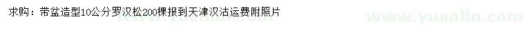 求購10公分造型羅漢松