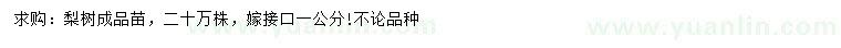 求購(gòu)1公分梨樹(shù)