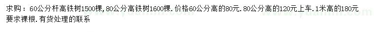 求購高60、80公分鐵樹