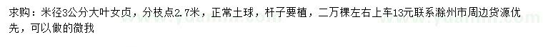 求購米徑3公分大葉女貞