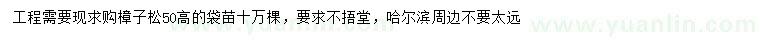 求購高50公分樟子松
