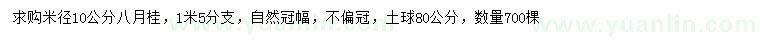 求購米徑10公分八月桂