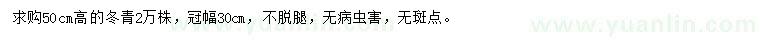 求購(gòu)高50公分冬青