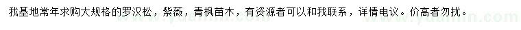 求購(gòu)羅漢松、紫薇、青楓
