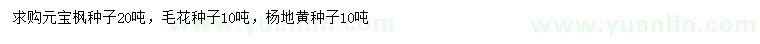 求購元寶楓種子、毛花種子、洋地黃種子