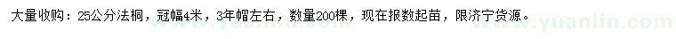 求購25公分法桐