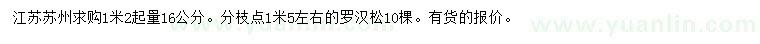 求購1.2米量16公分羅漢松