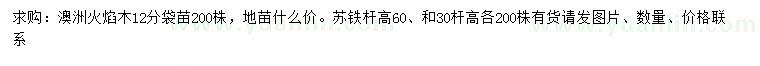 求購12公分澳洲火焰木、高30、60公分蘇鐵