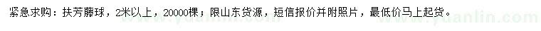 求購(gòu)2米以上扶芳藤球