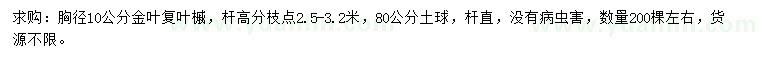 求購胸徑10公分金葉復(fù)葉槭