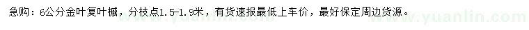 求購6公分金葉復(fù)葉槭