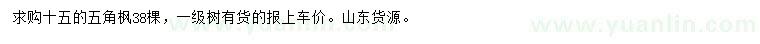 求購15公分五角楓