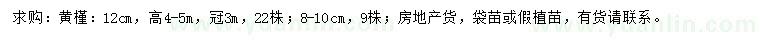 求購8-9、12公分黃槿