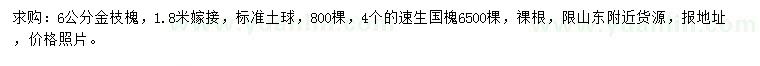 求購6公分金枝槐、4公分速生國槐