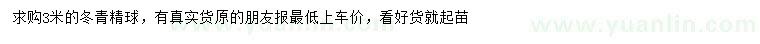 求購3米冬青球