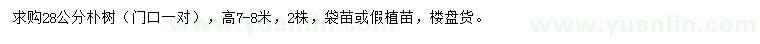 求購28公分樸樹