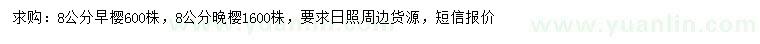 求購8公分早櫻、晚櫻