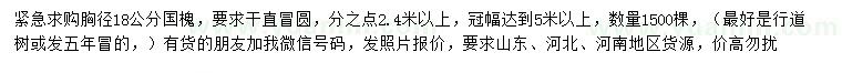 求購胸徑18公分國槐