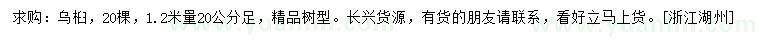 求購1.2米量20公分烏桕