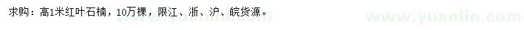 求購高1米紅葉石楠