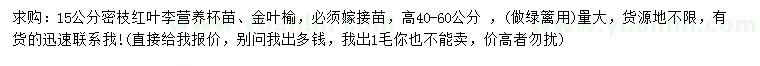求購(gòu)高40-60公分密枝紅葉李、金葉榆