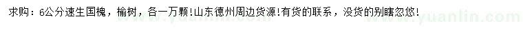 求購6公分速生國槐、榆樹