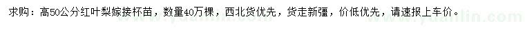 求購高50公分嫁接紅葉梨