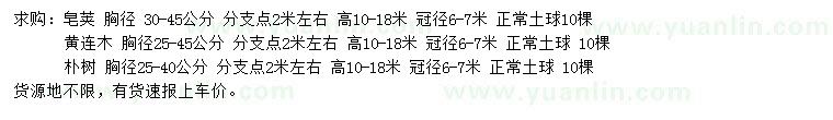 求購皂莢、黃連木、樸樹