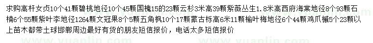 求購高桿女貞、碧桃、國槐等