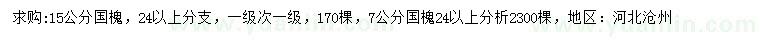 求購7、15公分國槐