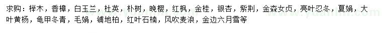 求購櫸樹、香樟、白玉蘭等