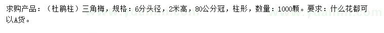 求購頭徑6公分三角梅