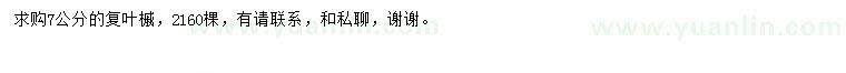 求購7公分復(fù)葉槭