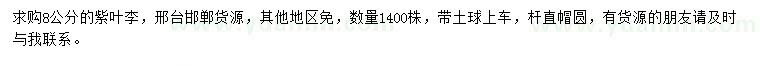 求購8公分紫葉李