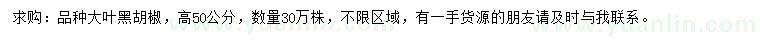 求購高50公分大葉黑胡椒樹