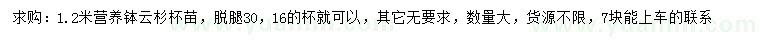 求購1.2米云杉