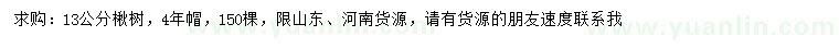 求購13公分楸樹