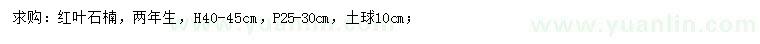 求購高40-45公分紅葉石楠