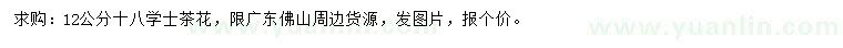 求購12公分十八學士茶花
