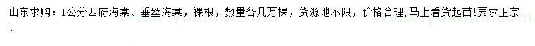 求購1公分西府海棠、垂絲海棠